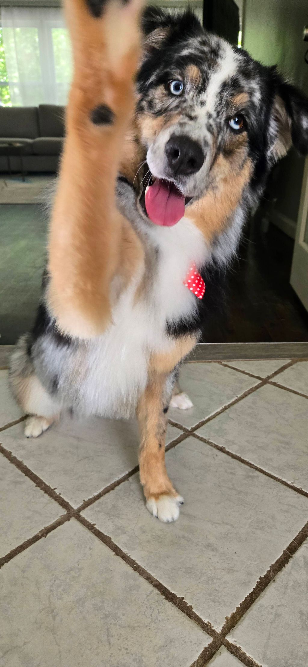 Customer photos