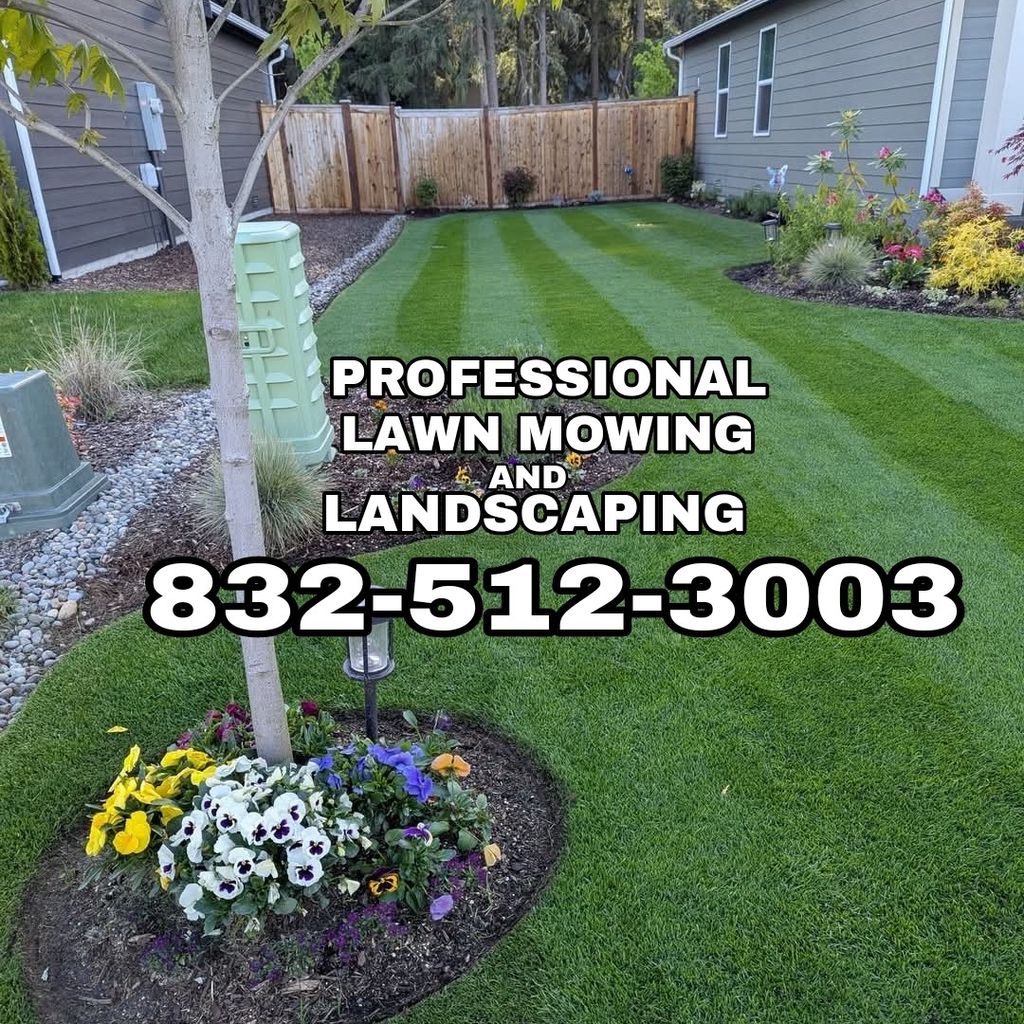 Professional Lawn Mowing
