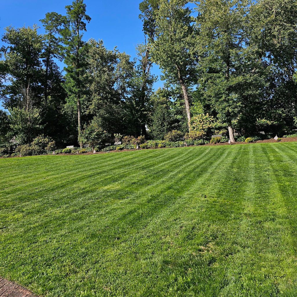 D&M Lawn Care LLC