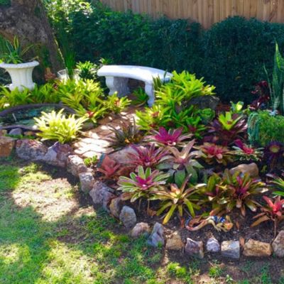 Avatar for Paw Lawncare