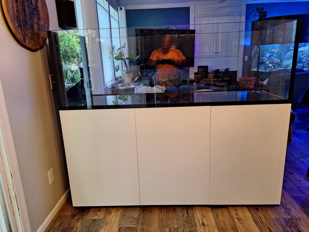 500 pound aquarium moved and placed