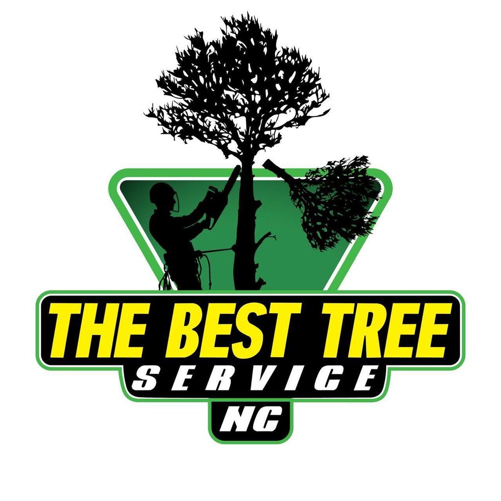 The Best tree NC