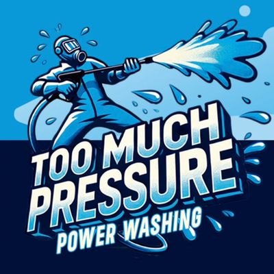 Avatar for Too Much Pressure Power Washing