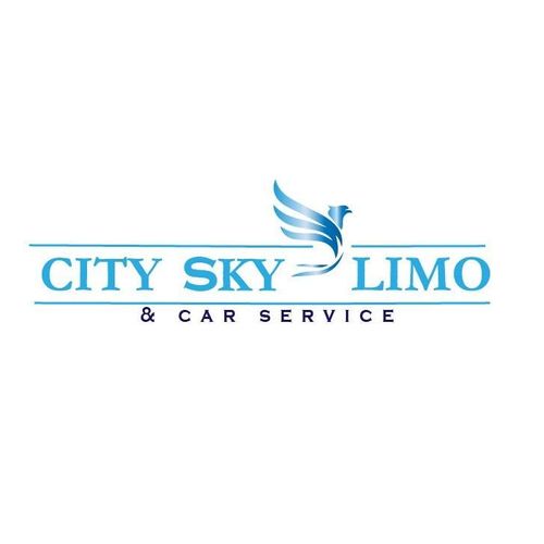 CITY SKY LIMOUSINE INC