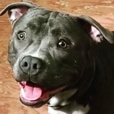 Avatar for Diesel Drains