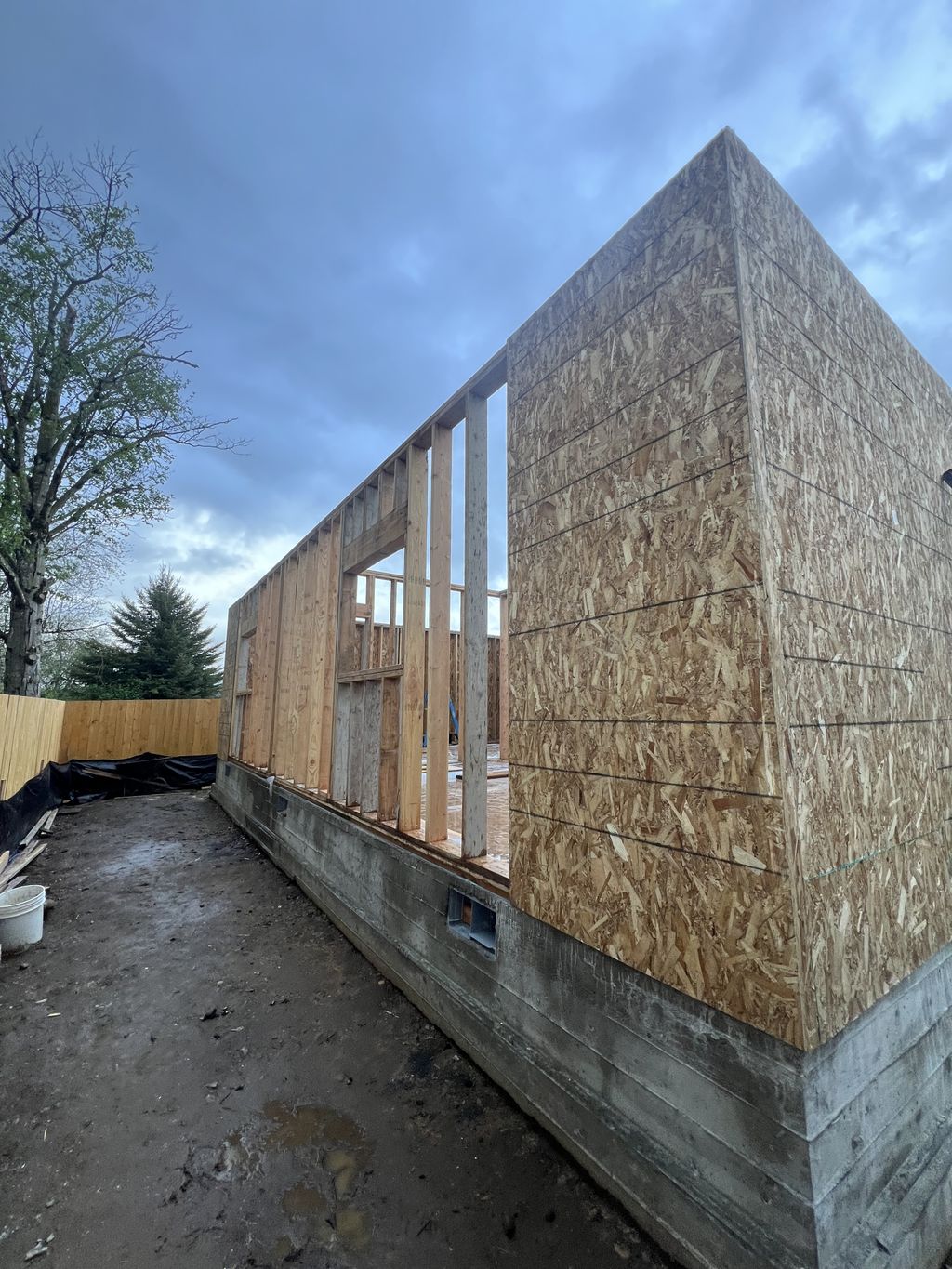 Projects and media