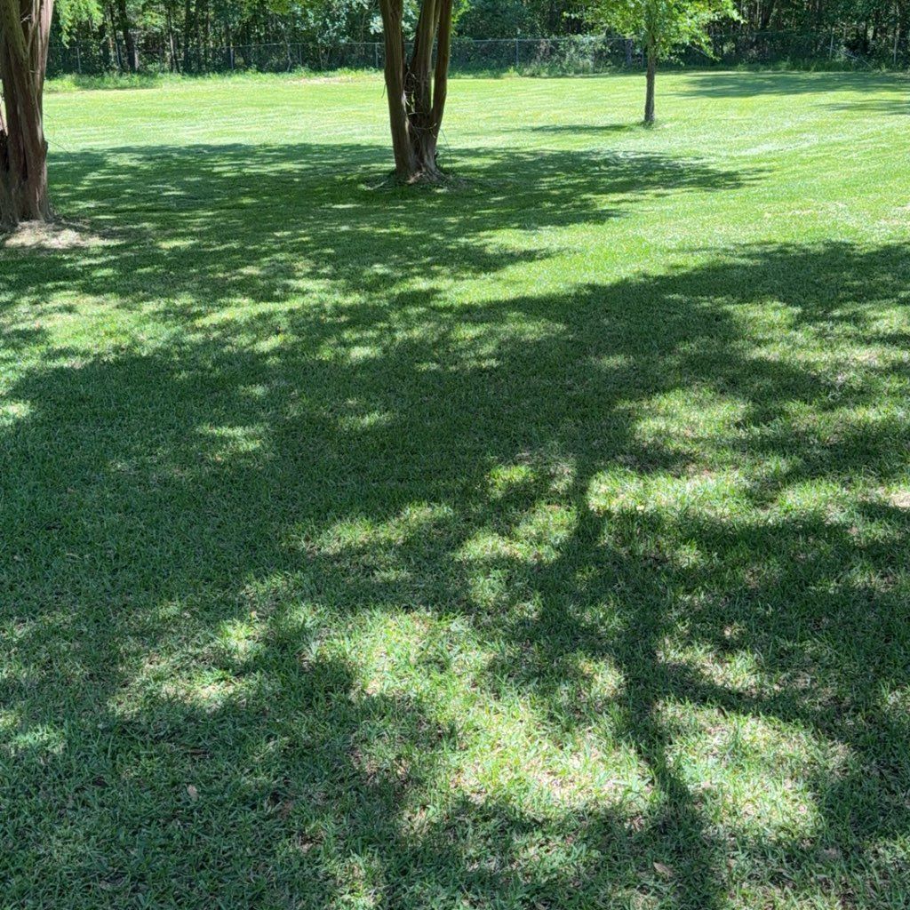 Mike love’s Lawn
