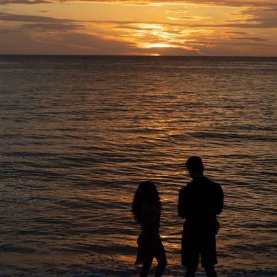Avatar for A M Photography