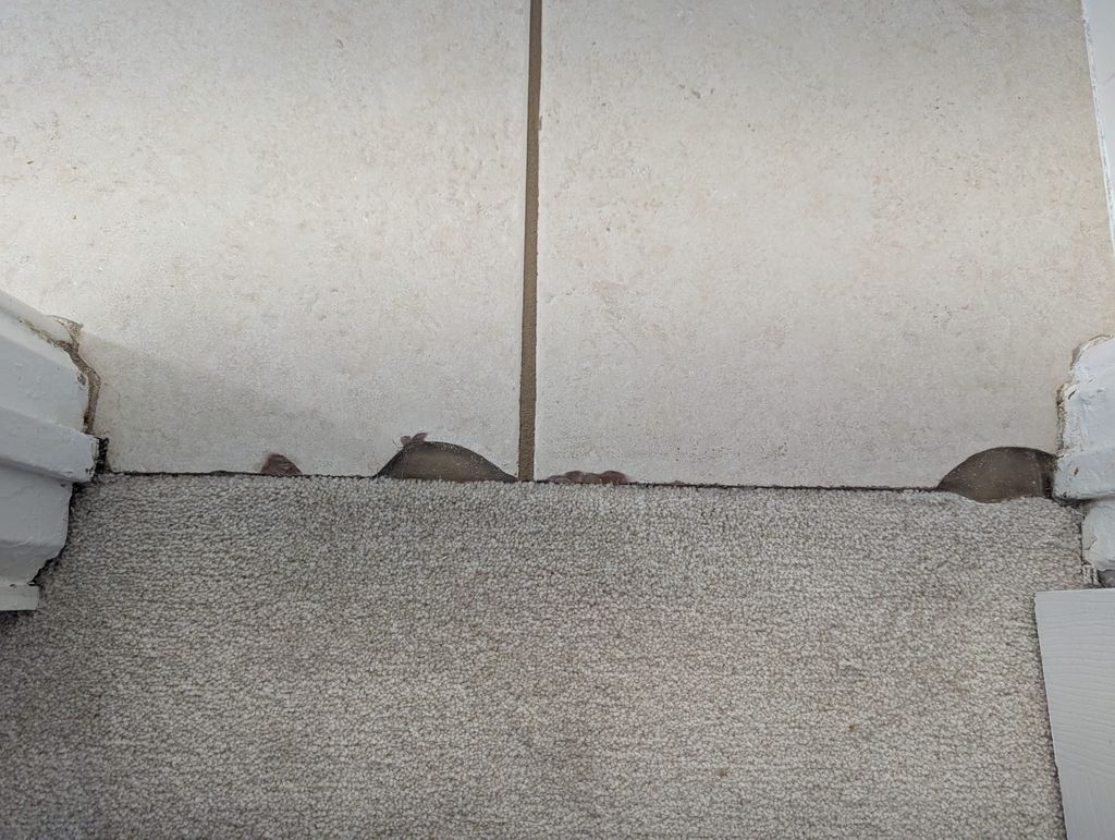 Tile Repair Before