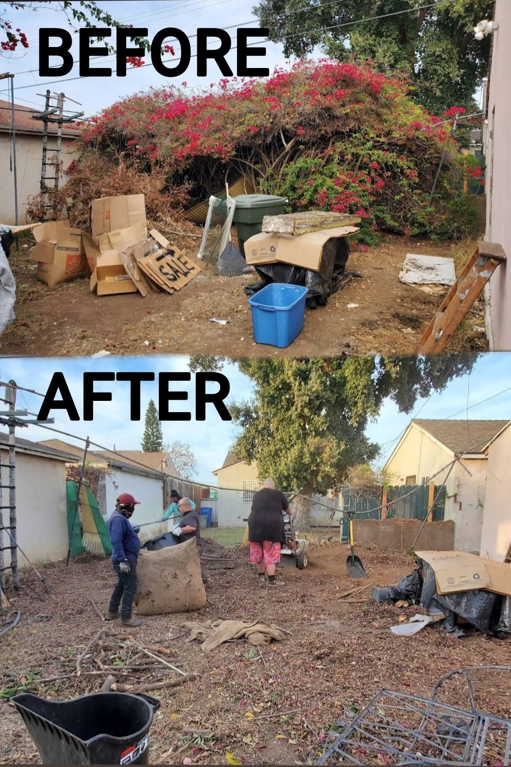 Projects and media
