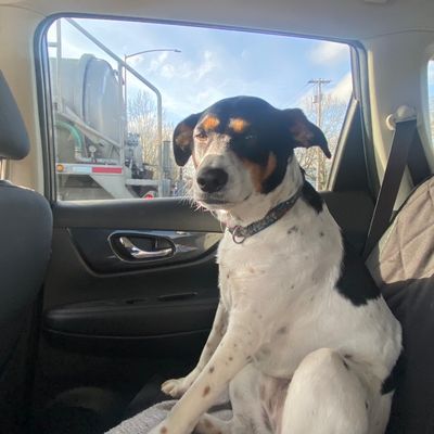 Avatar for Sunny Sit