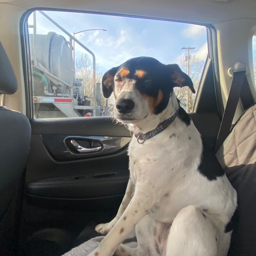 Sunny Sit