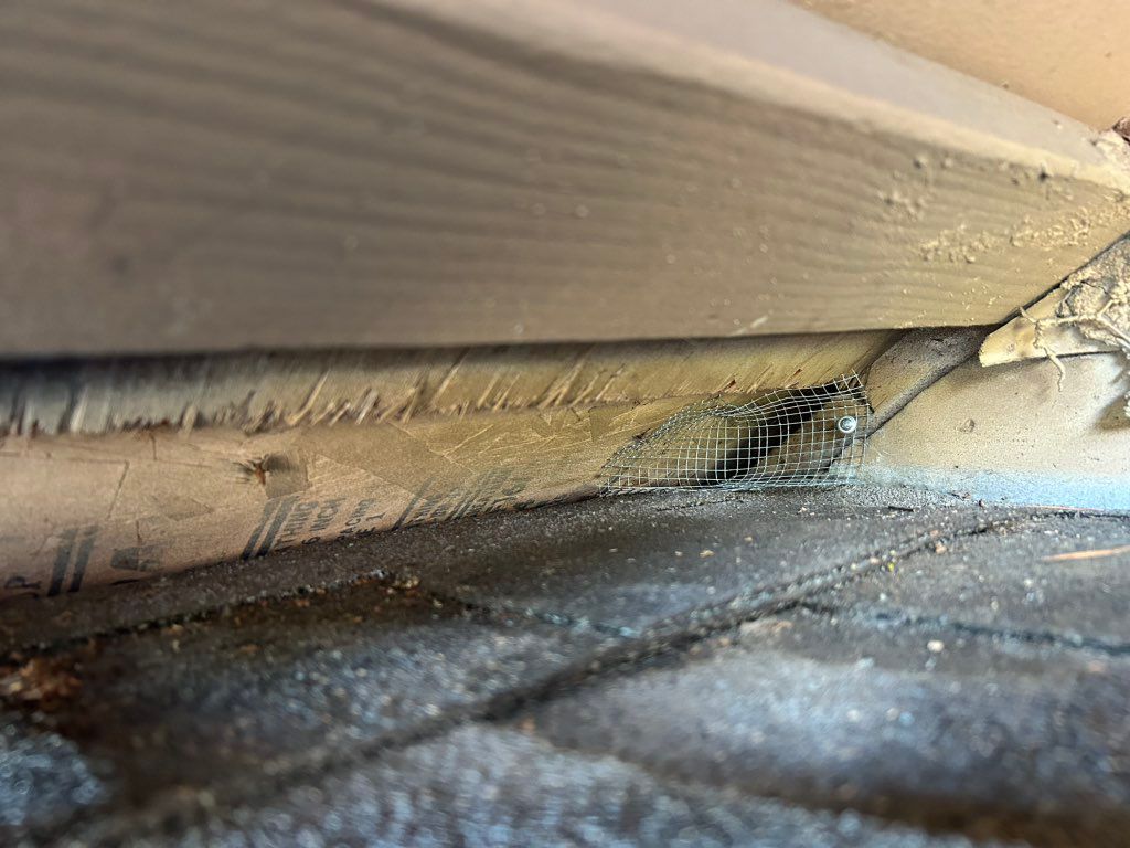 Rodent proofing 