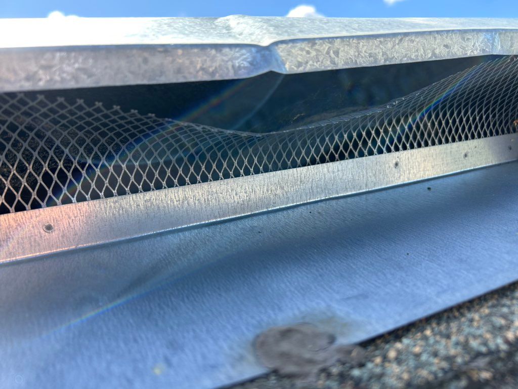 Before rodent proofing 