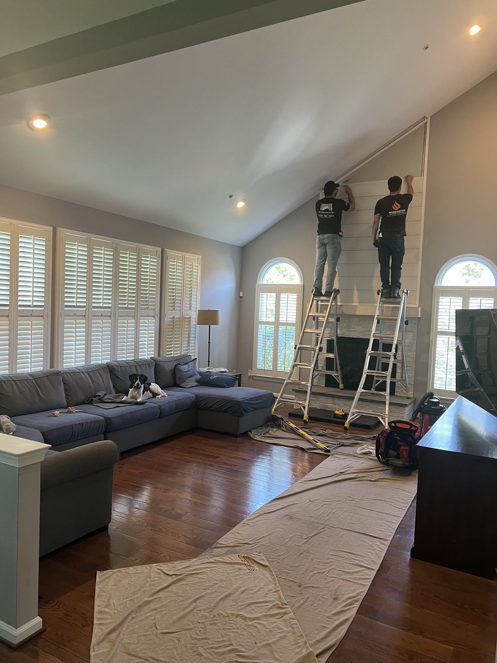 Projects and media