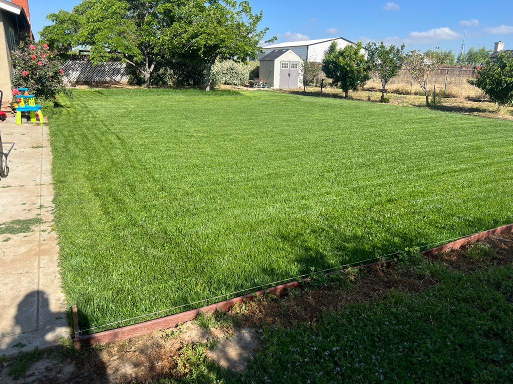 Finished Sod and Sprinkler installation 