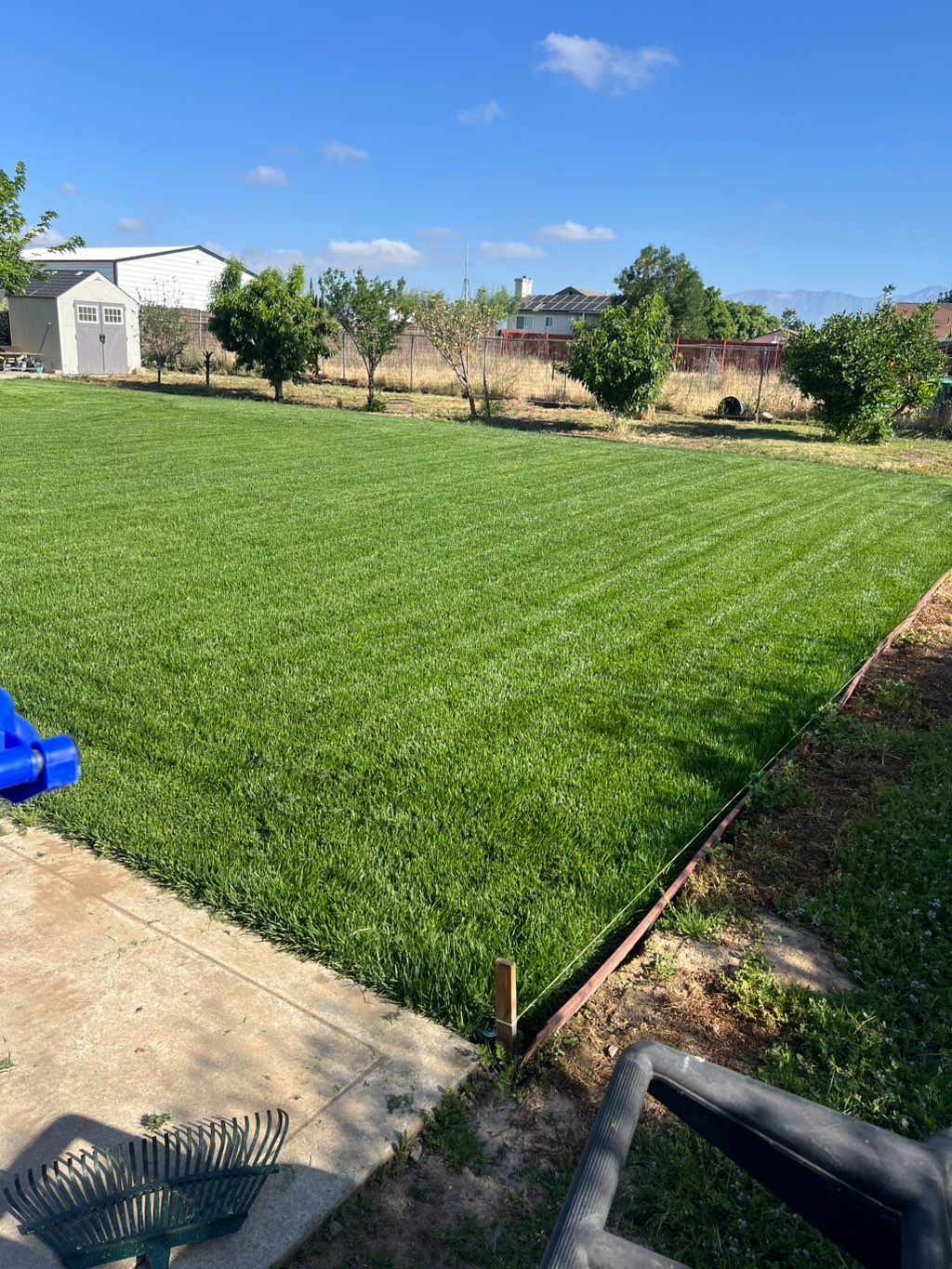 Finished Sod and Sprinkler installation 