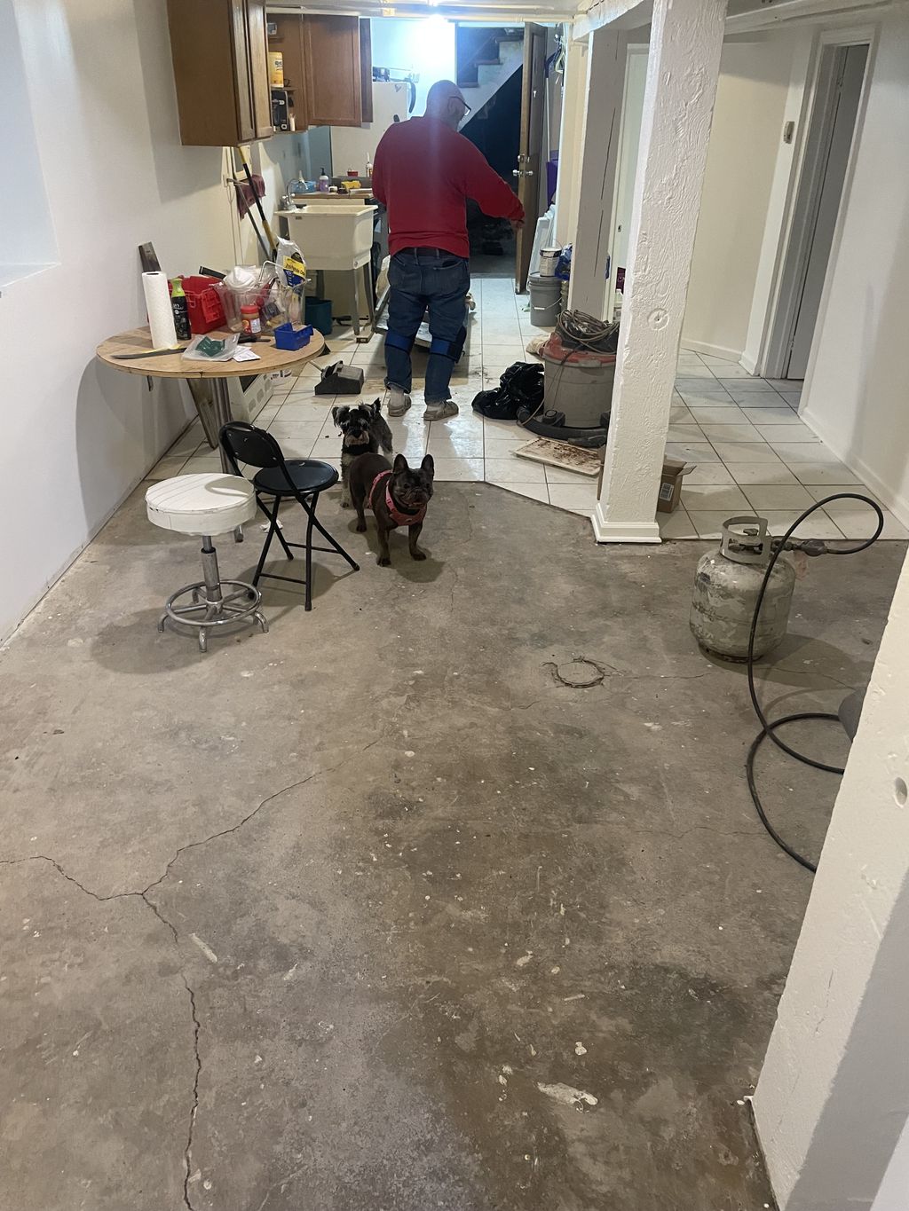 Projects and media