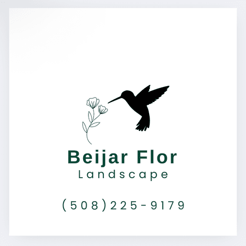 Beija Flor Landscape Profile Picture