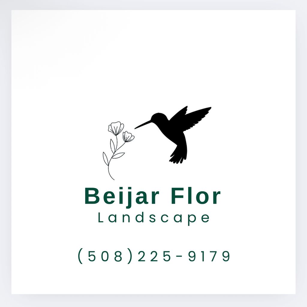 Beija Flor Landscape