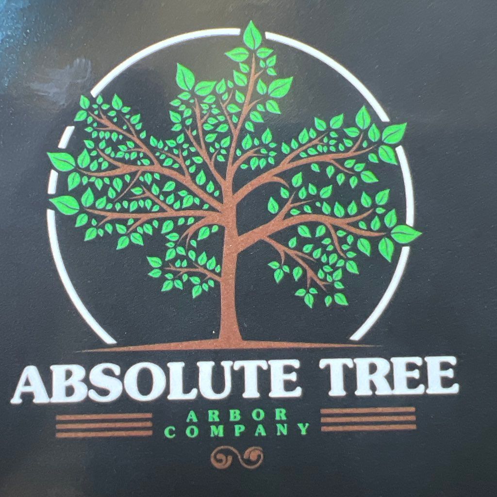 Absolute tree