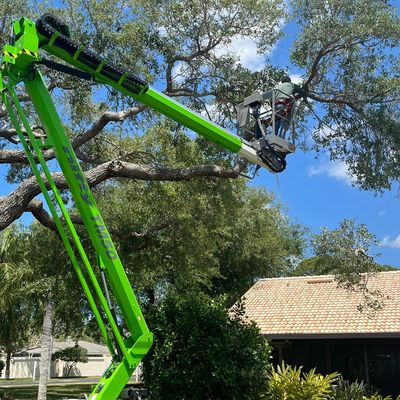 Avatar for R&C Tree Services LLC