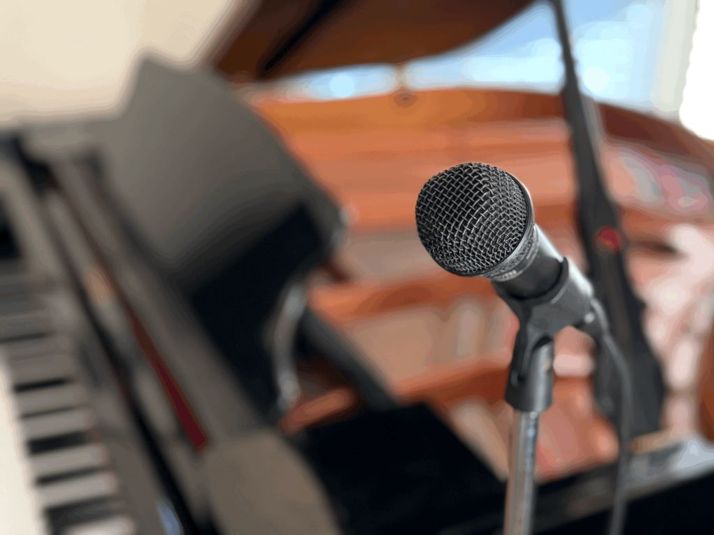 A view from the mic in my home studio.