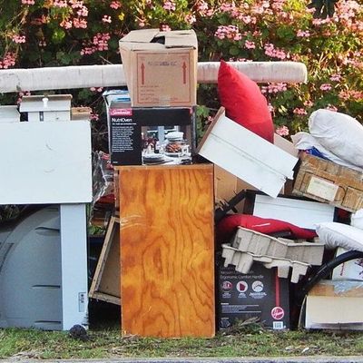 Avatar for Dirty Work Waste Removal