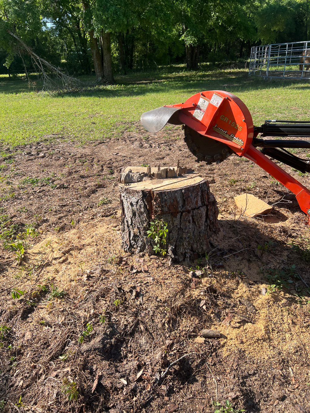 Stump before grinding 
