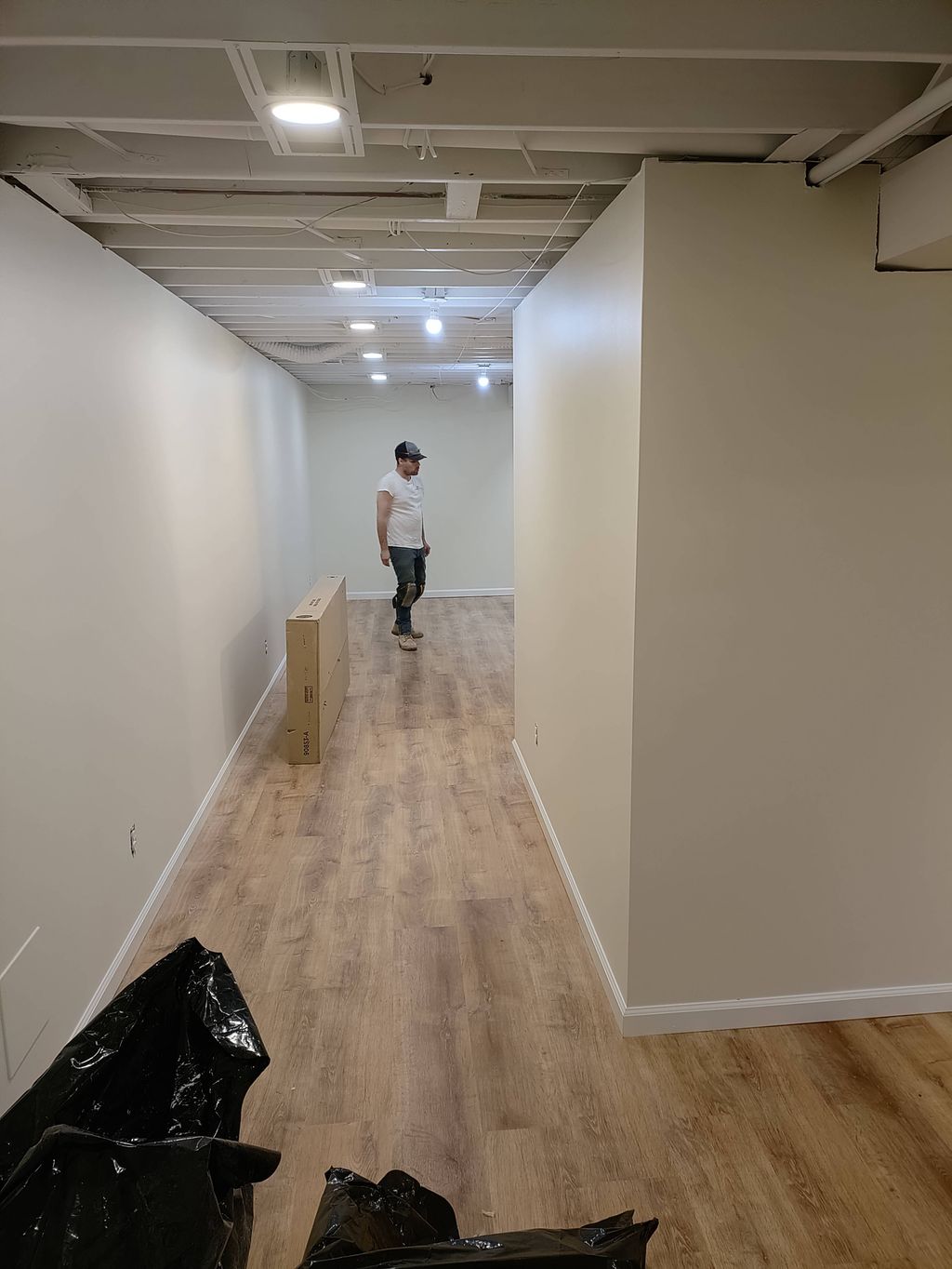 Projects and media