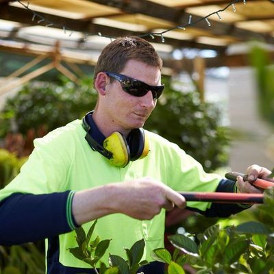 Avatar for TRUEGREEN LAWN AND JUNK SERVICE INC
