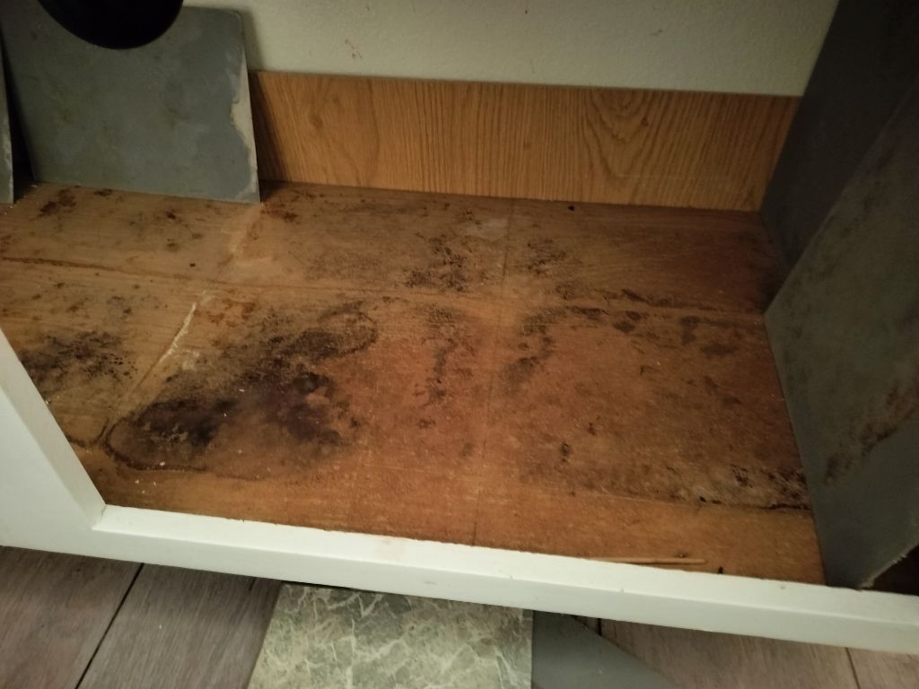 Bathroom Cabinet