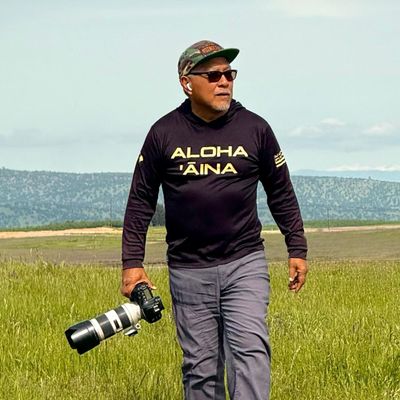 Avatar for Aloha Photography