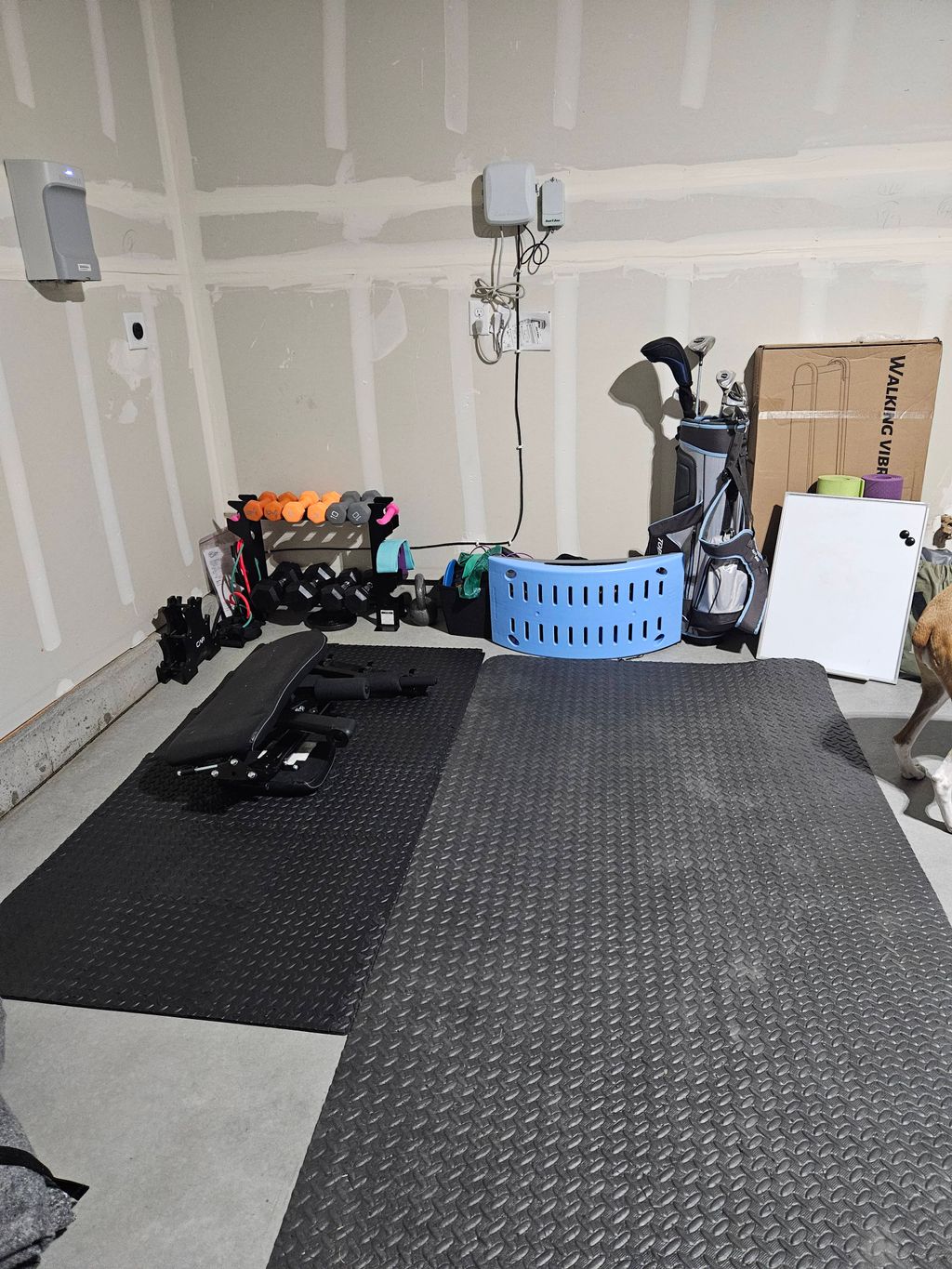 Projects and media