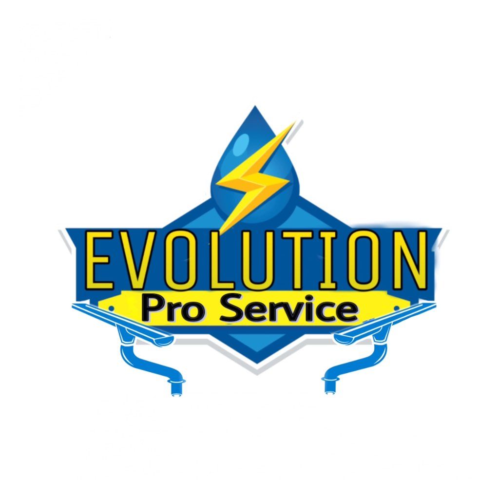 Evolution Pro Service LLC