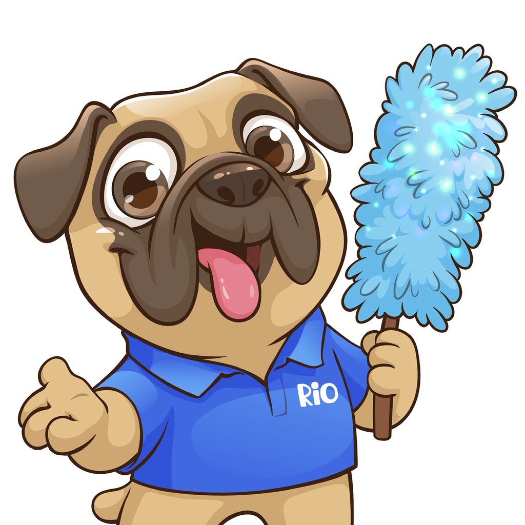 Rio Cleaning