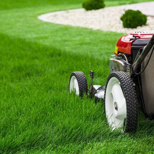Phoenix Lawn Care
