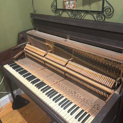 Avatar for Pitch Fix piano tuning and repair