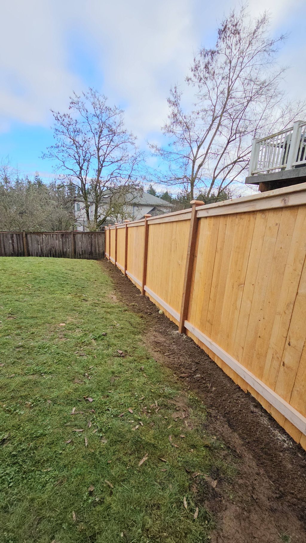 fence
