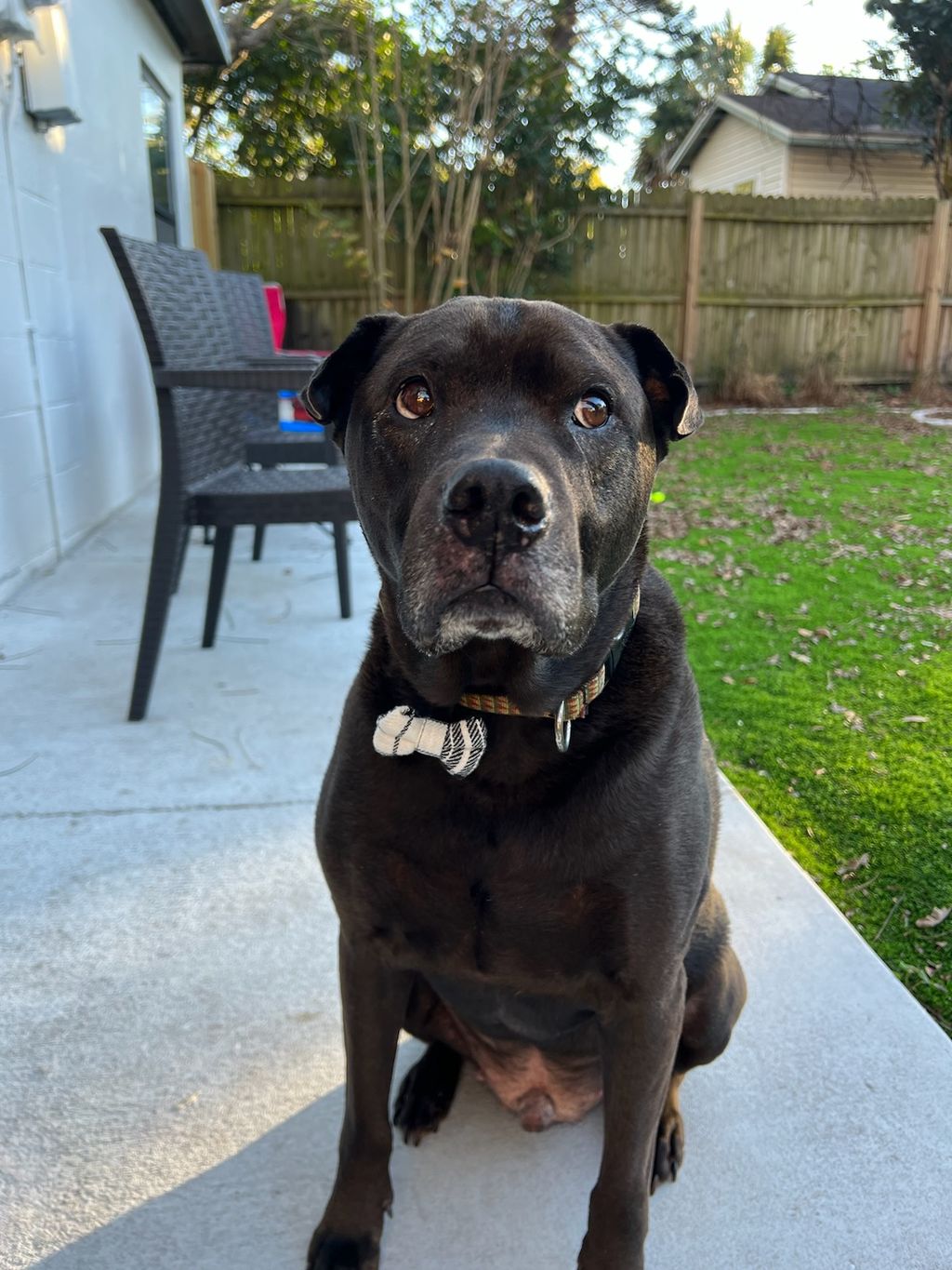Marley
