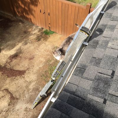 Avatar for Carolina Roof Repair