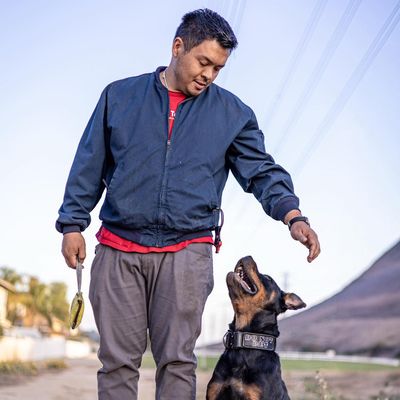 Avatar for Nick’s K9 Services