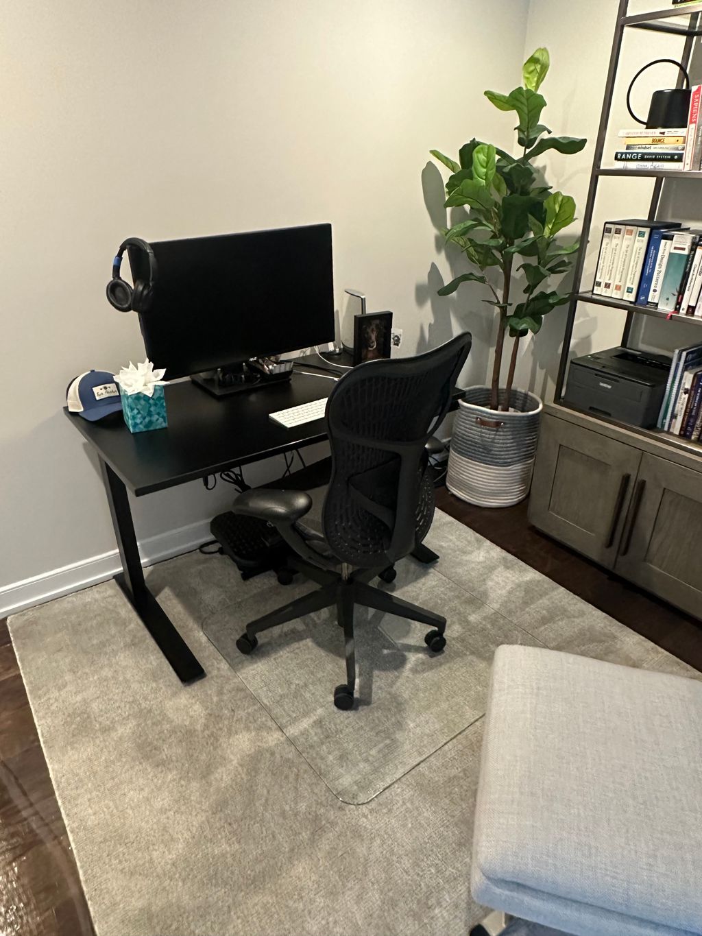 Projects and media