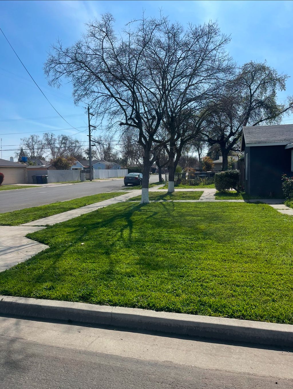 Our lawn and landscape maintenance after work.