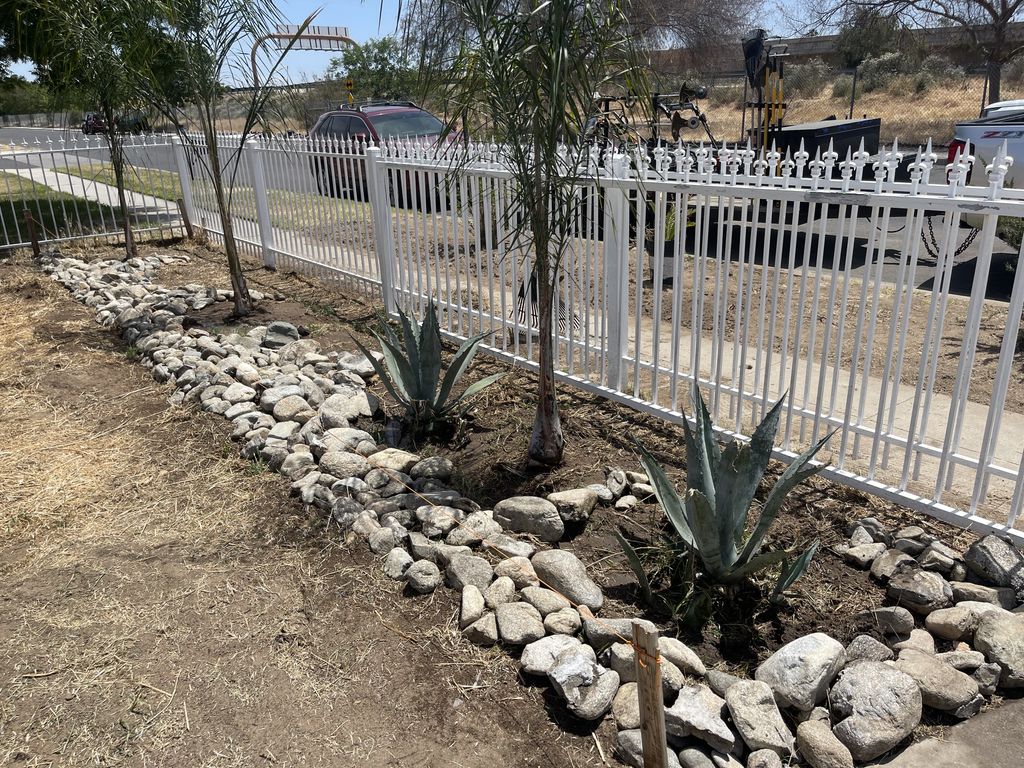 fenceline bedding installation and palm tree plant