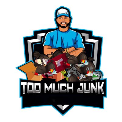 Avatar for Too Much Junk