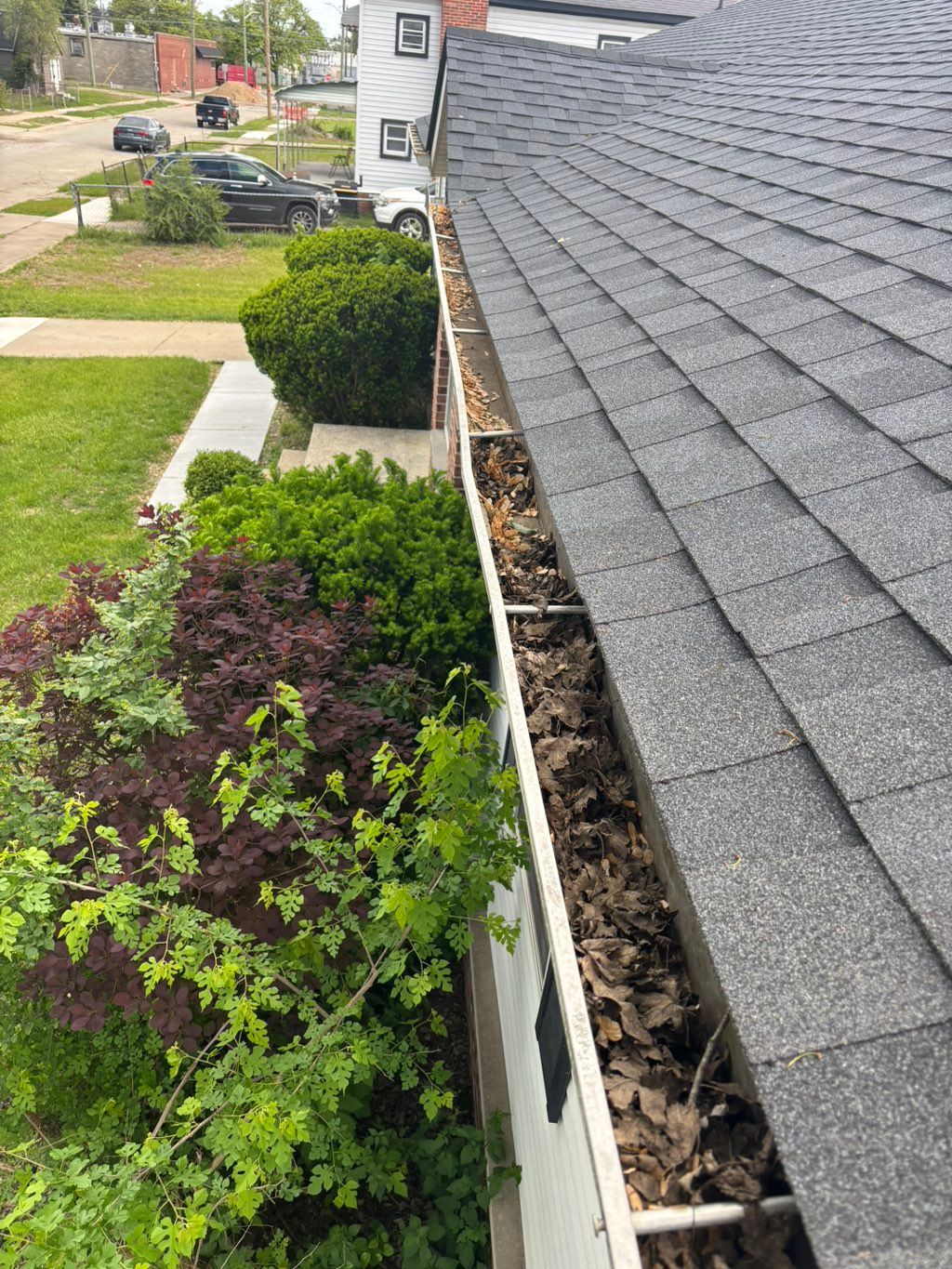 Customer photos