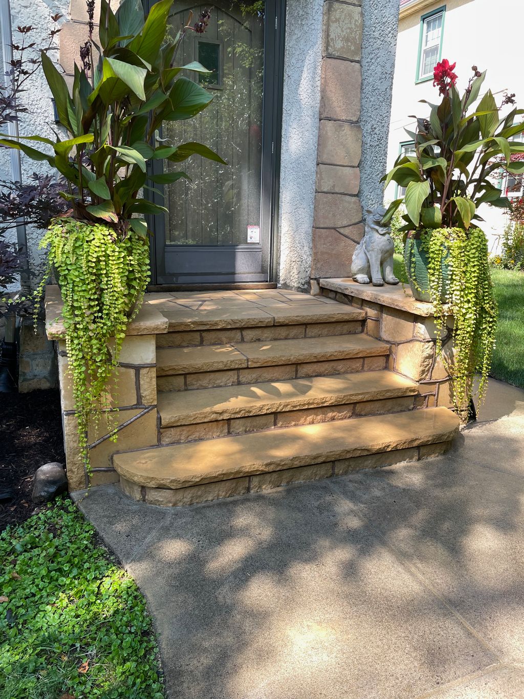 finished clean steps