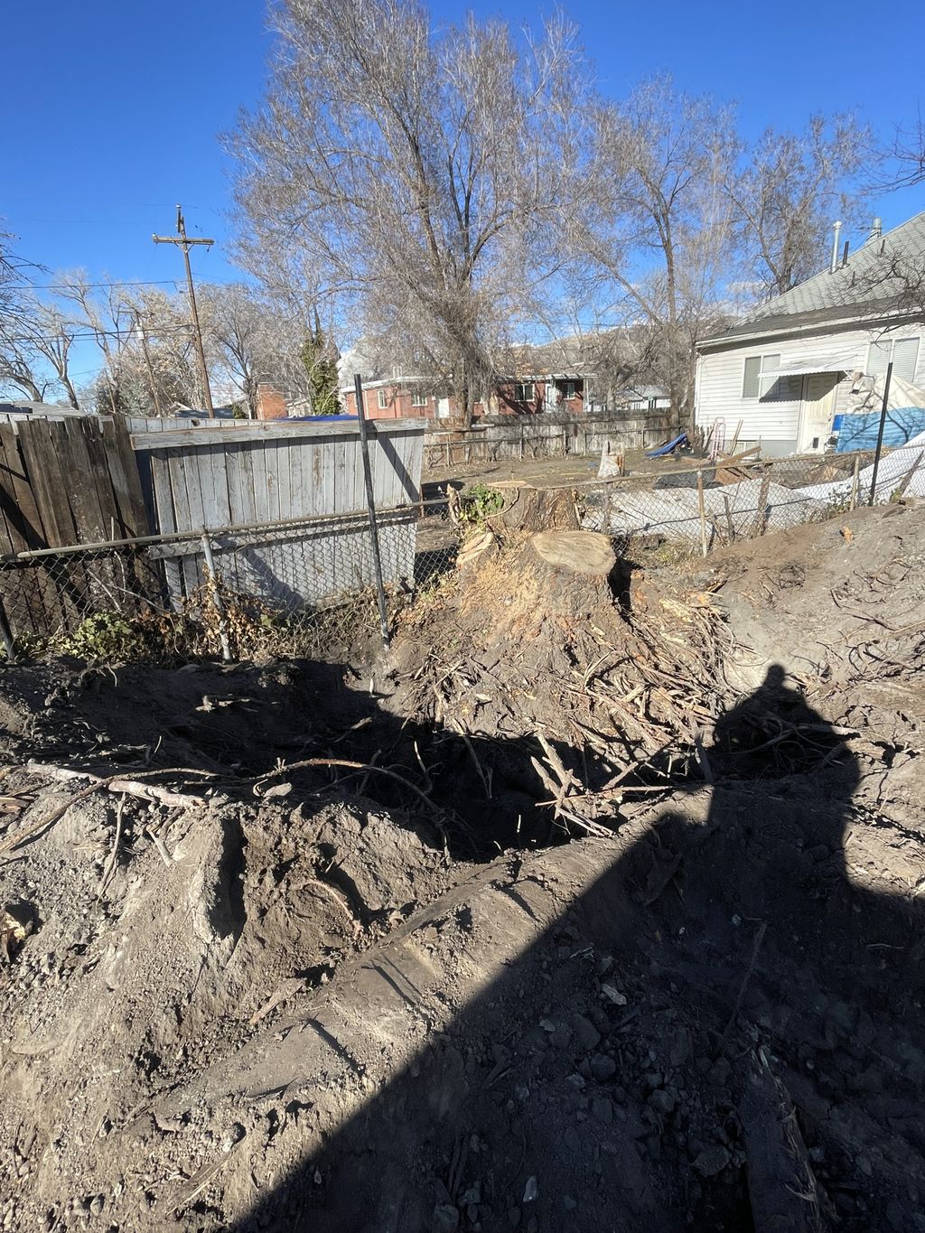 Stump excavation/removal.