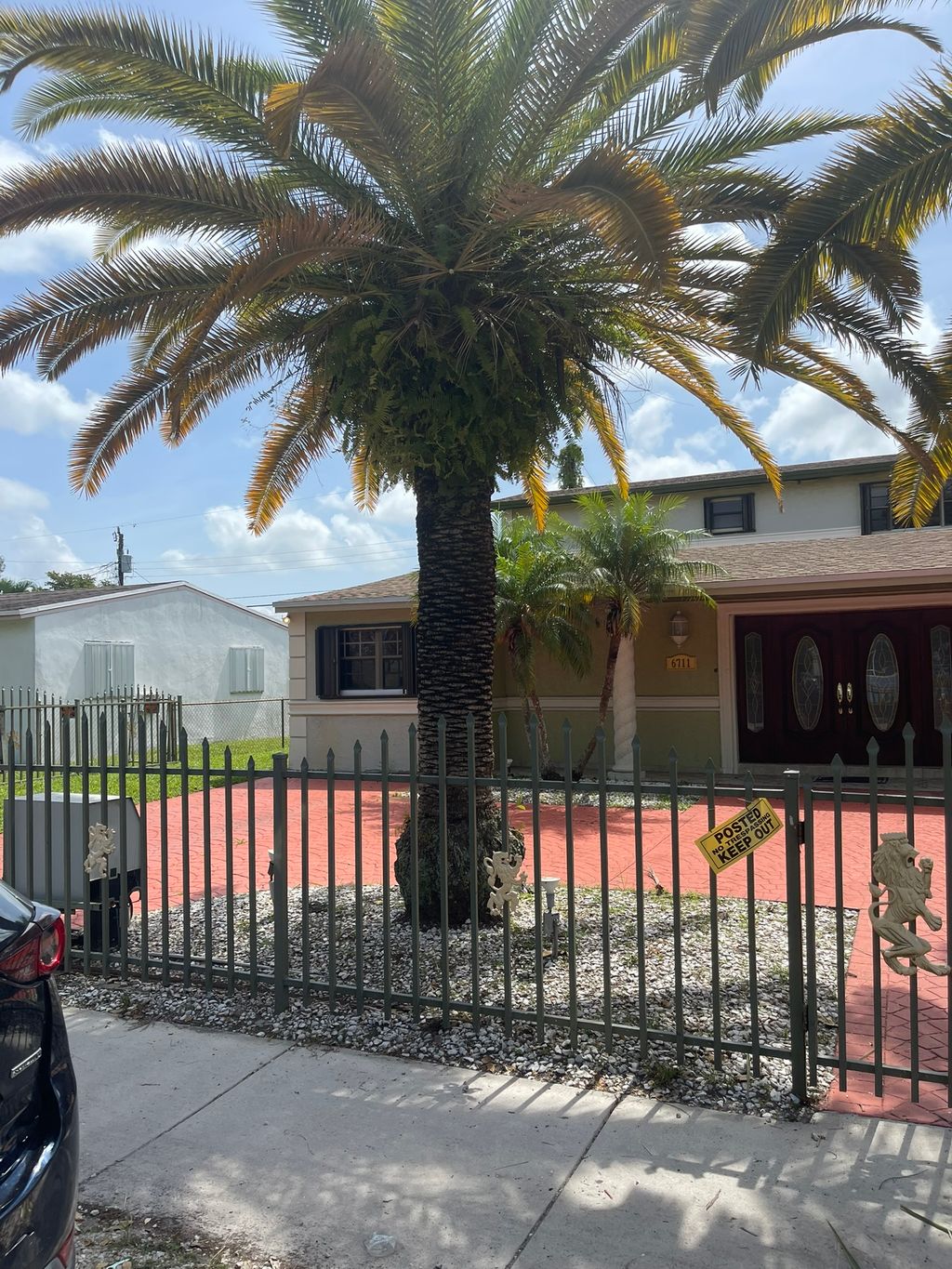 Trimmed dead palm branches